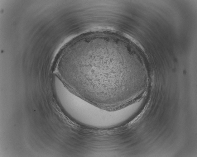 X0000068891021200605261840