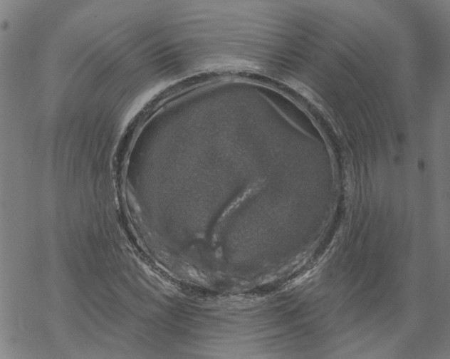 X0000068891022200605261840