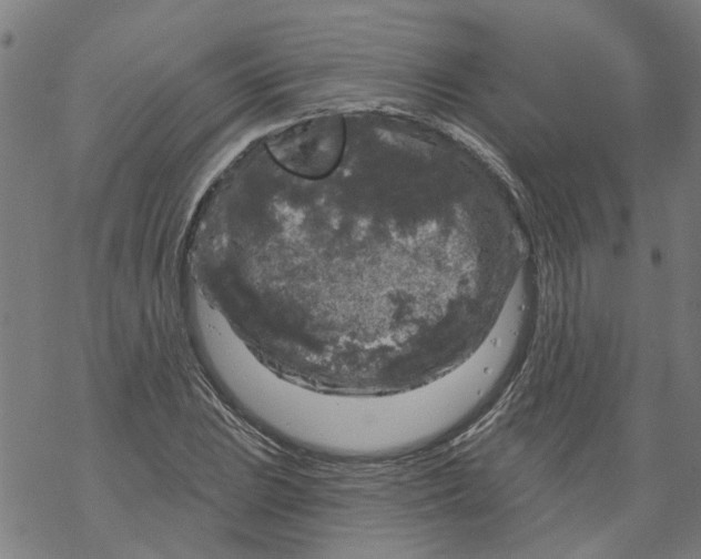 X0000068891023200605261840