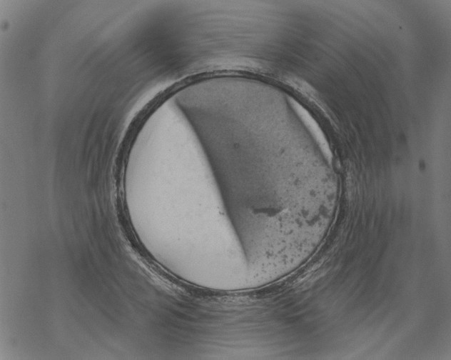 X0000068891024200605261840