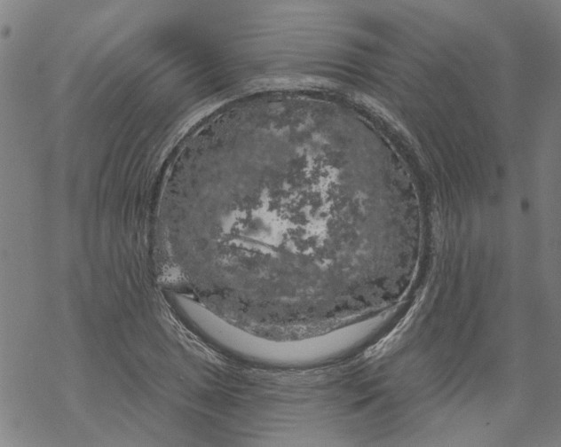 X0000068891025200605261840