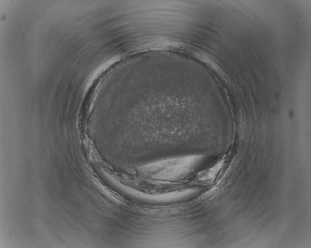 X0000068891026200605261840