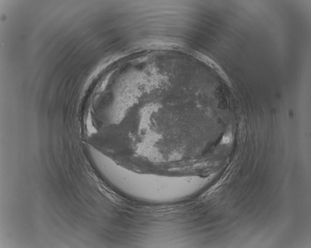 X0000068891027200605261840