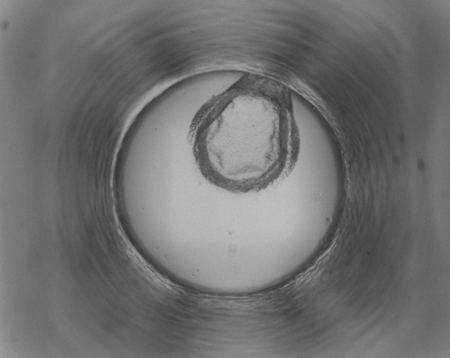 X0000068891028200605261840