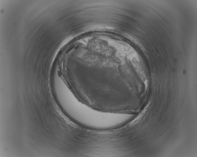 X0000068891029200605261840