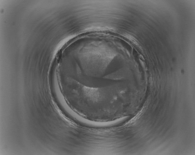 X0000068891030200605261840