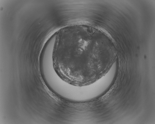 X0000068891031200605261841