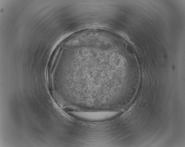 X0000068891032200605261841