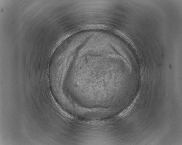 X0000068891033200605261841