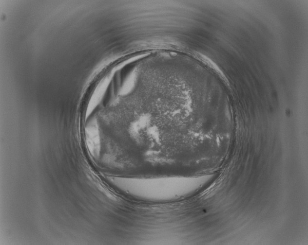 X0000068891035200605261841