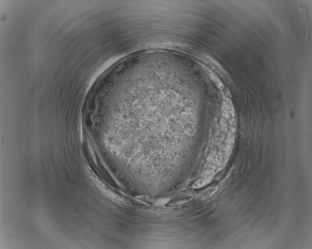 X0000068891036200605261841