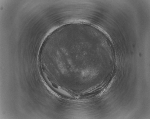 X0000068891037200605261841