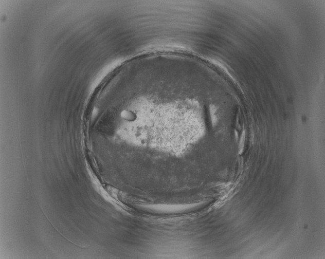 X0000068891038200605261841