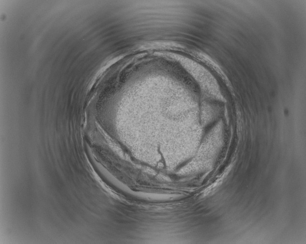 X0000068891041200605261841