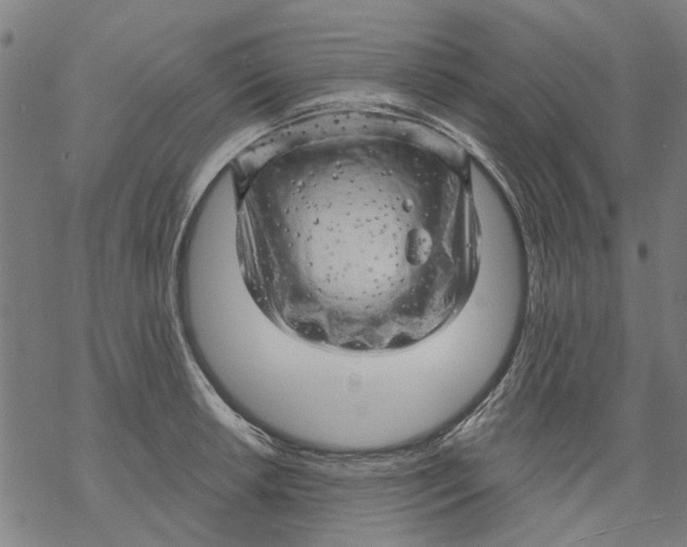 X0000068891042200605261841