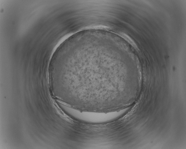 X0000068891044200605261841