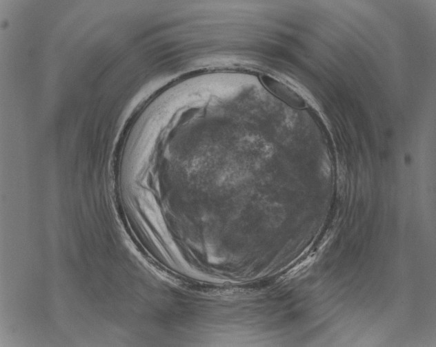 X0000068891045200605261841