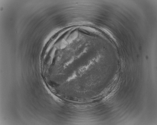 X0000068891046200605261841