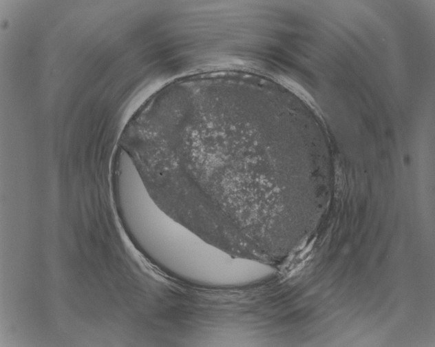 X0000068891047200605261841