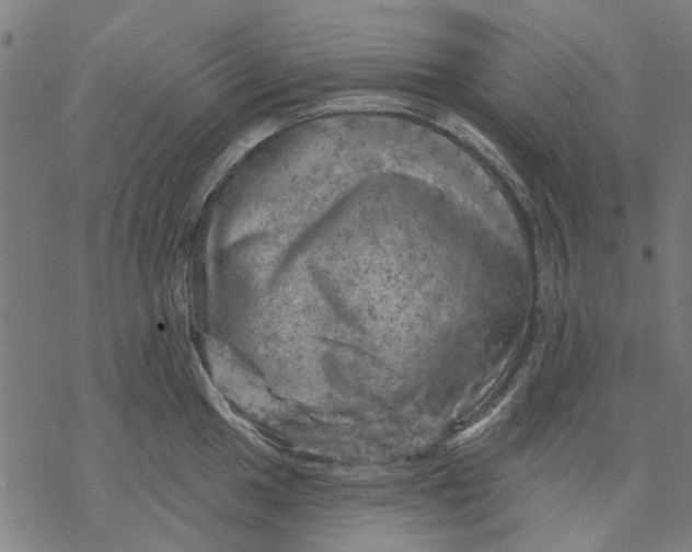 X0000068891049200605261841