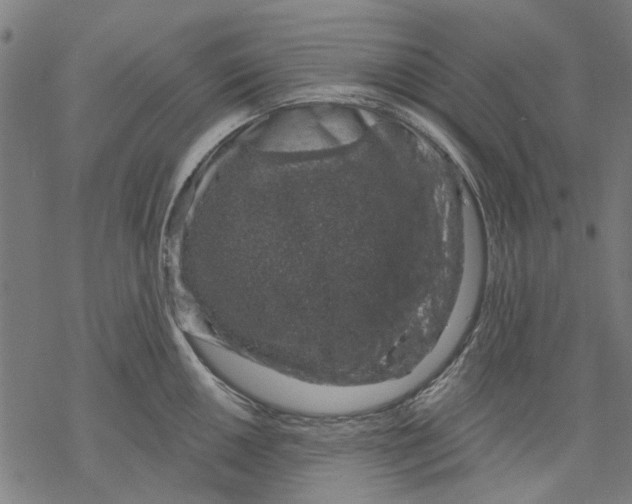 X0000068891050200605261841