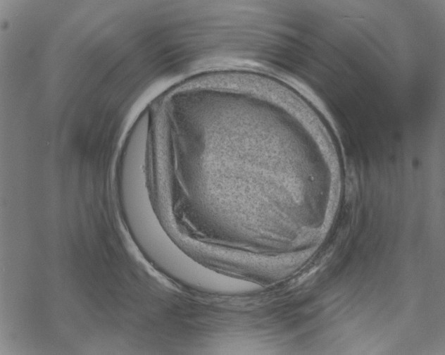 X0000068891053200605261841