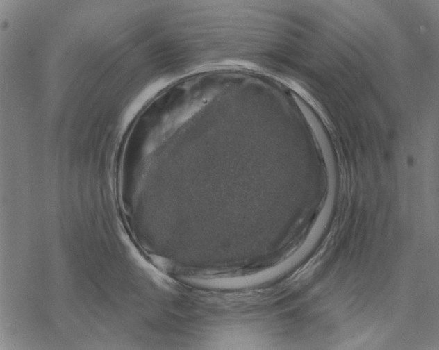 X0000068891054200605261841