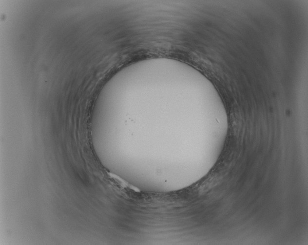 X0000068891057200605261840