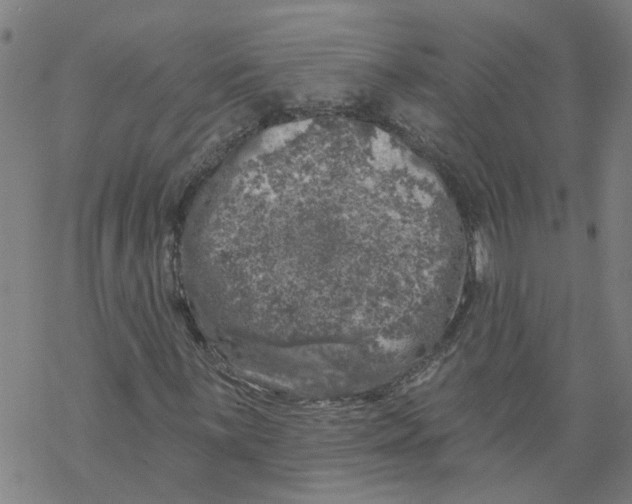 X0000068891059200605261840