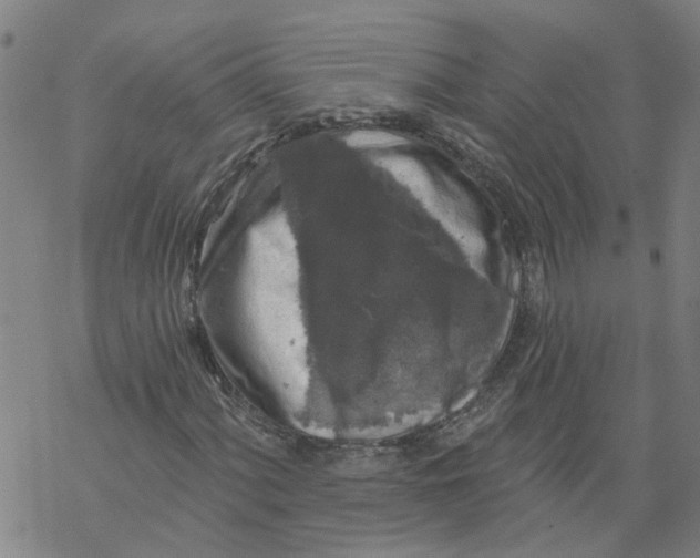 X0000068891060200605261840