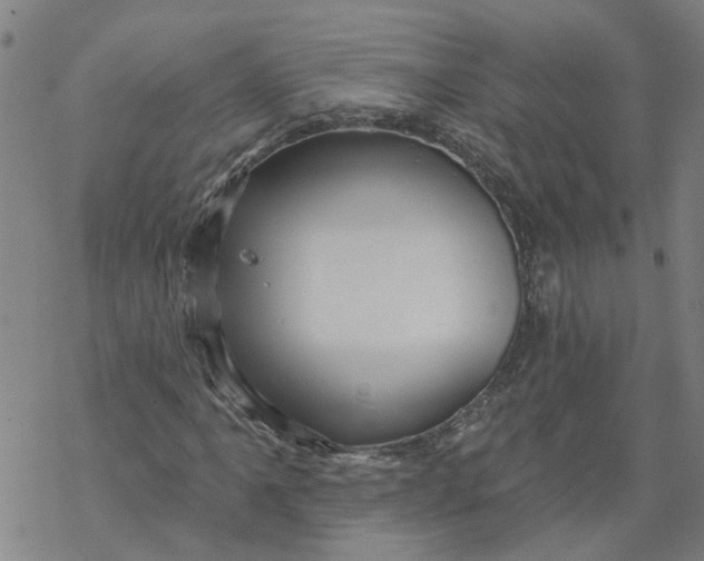 X0000068891061200605261840