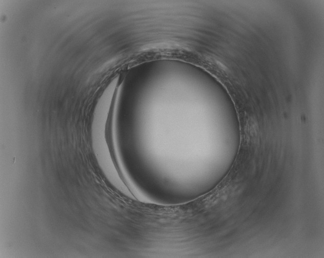 X0000068891062200605261840