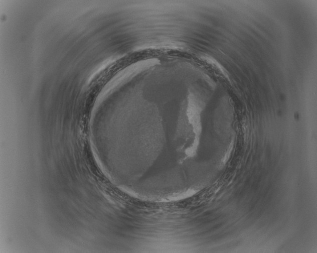 X0000068891064200605261840