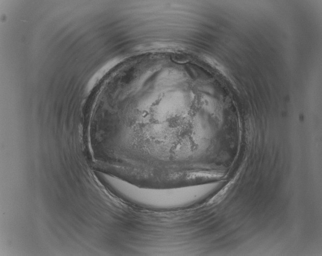 X0000068891066200605261840