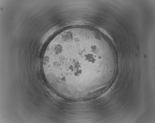 X0000068891067200605261840