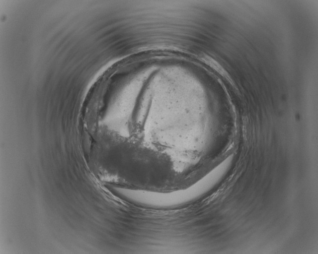 X0000068891068200605261840