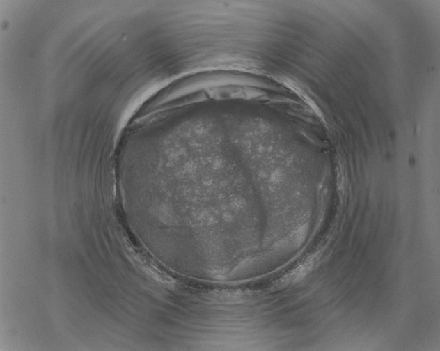 X0000068891069200605261840