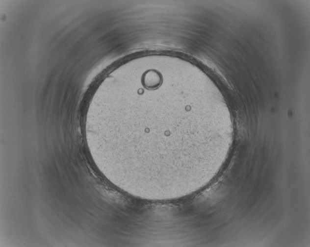 X0000068891070200605261840