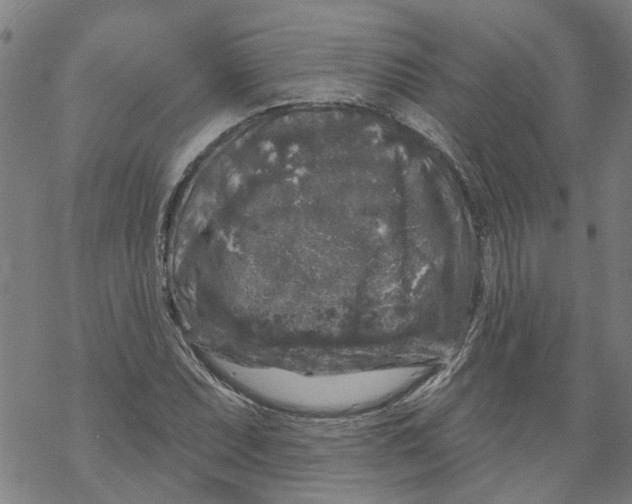 X0000068891071200605261840