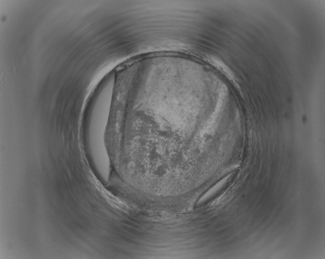 X0000068891072200605261840