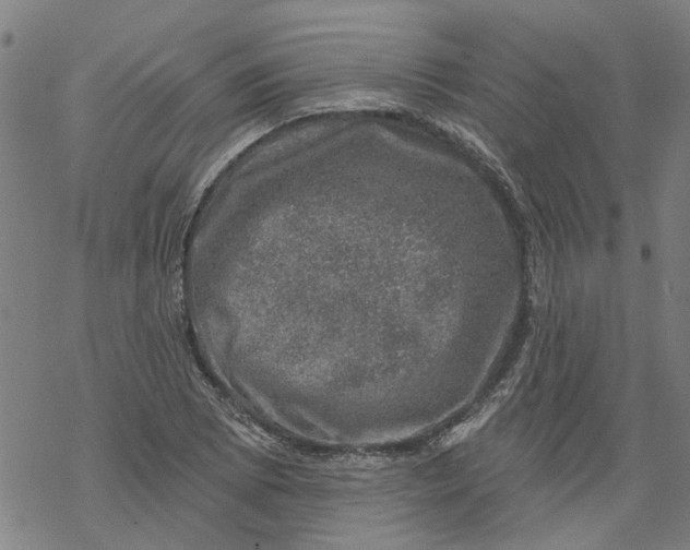 X0000068891073200605261840