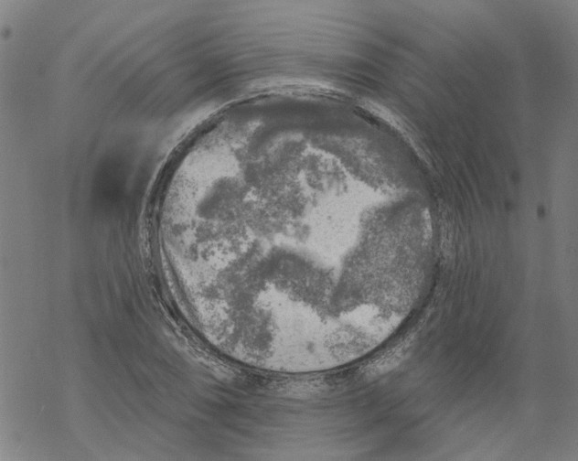 X0000068891074200605261840