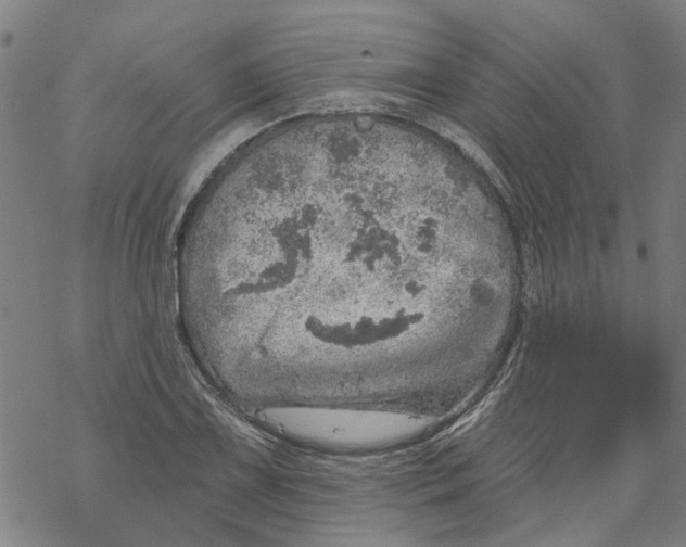 X0000068891075200605261840