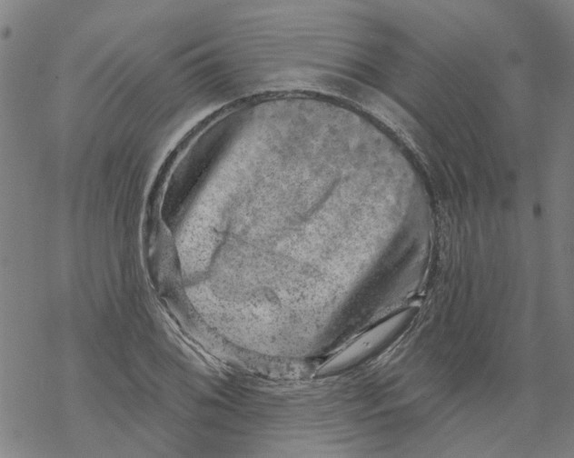 X0000068891076200605261840