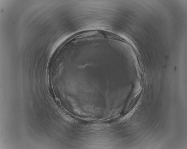 X0000068891077200605261840