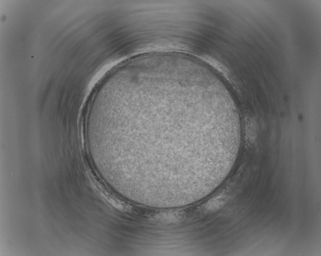 X0000068891078200605261840