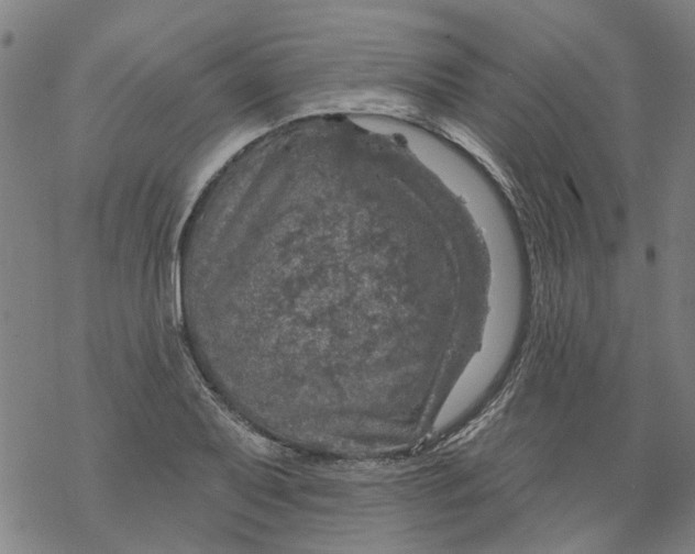 X0000068891079200605261840