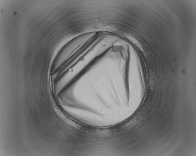 X0000068891080200605261840