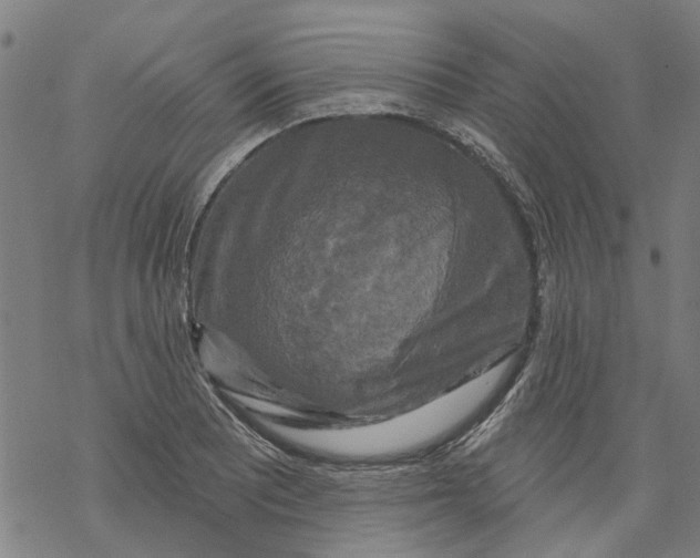 X0000068891081200605261840