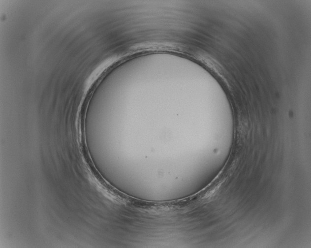 X0000068891082200605261840